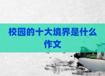 校园的十大境界是什么作文