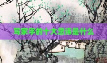 写家字的十大忌讳是什么