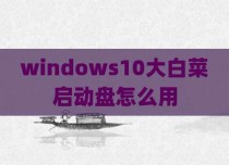 windows10大白菜启动盘怎么用