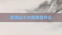 武功山十大坑爹是什么