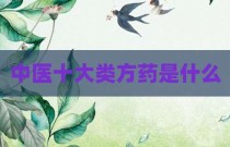 中医十大类方药是什么