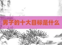 男子的十大目标是什么