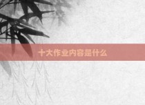 十大作业内容是什么