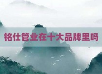 铭仕管业在十大品牌里吗