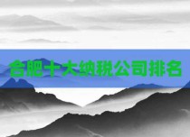 合肥十大纳税公司排名