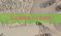红日橱柜是十大品牌吗