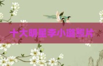 十大明星李小璐照片