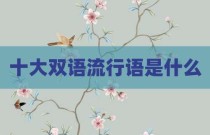 十大双语流行语是什么