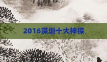 2016深圳十大神探