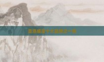 圣洛威是十大品牌之一吗