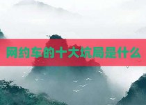 网约车的十大坑局是什么