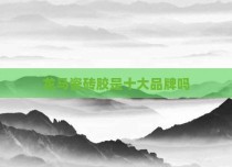 龙马瓷砖胶是十大品牌吗