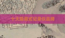 十大隐藏式记录仪品牌