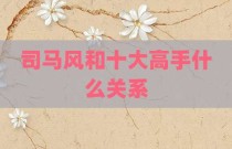 司马风和十大高手什么关系