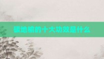 碳地榆的十大功效是什么