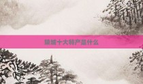 陵城十大特产是什么