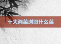 十大湘菜浏阳什么菜