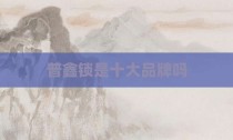 普鑫锁是十大品牌吗