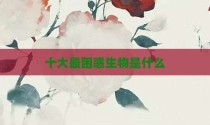 十大最困惑生物是什么