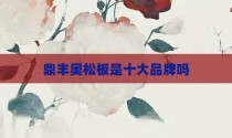 鼎丰奥松板是十大品牌吗