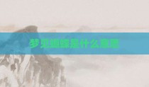 梦见蝴蝶是什么意思
