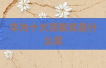 华为十大贡献奖是什么奖