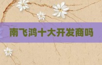 南飞鸿十大开发商吗