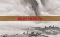 股票前十大指数是什么
