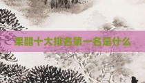 果醋十大排名第一名是什么