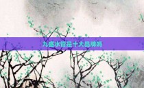 九盛水管是十大品牌吗