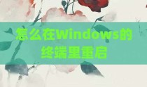 怎么在Windows的终端里重启