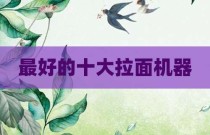 最好的十大拉面机器