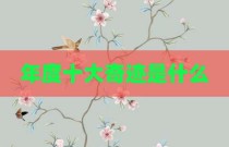 年度十大奇迹是什么