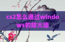 cs2怎么通过windows的防火墙
