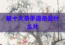 被十大杀手追杀是什么片