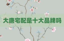 大唐宅配是十大品牌吗