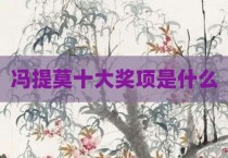 冯提莫十大奖项是什么