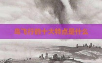 鸟飞行的十大特点是什么