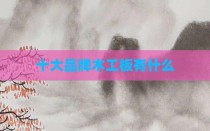十大品牌木工板有什么