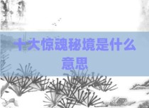 十大惊魂秘境是什么意思