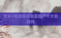 居家e电动晾衣架是国产十大名牌吗