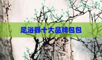 足浴器十大品牌包包