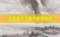 石家庄十大燃气集团排名