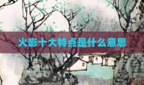 火影十大特点是什么意思
