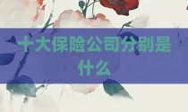 十大保险公司分别是什么