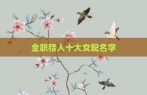 全职猎人十大女配名字
