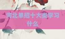 河北单招十大类学习什么