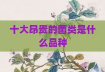 十大昂贵的菌类是什么品种