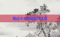 阳山十大名吃是什么吃