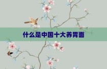 什么是中国十大养胃面
